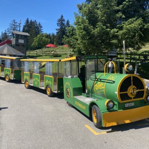 Petit train de la Cabane du Petit Oiseau