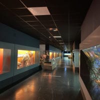 Couloir du Museum d'Histoire Naturelle de Genève