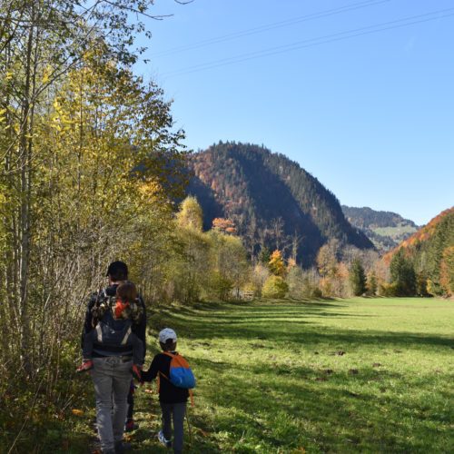 Balade sur le sentier de Jaun