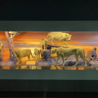 Vitrine des félins du Museum d'Histoire Naturelle de Genève