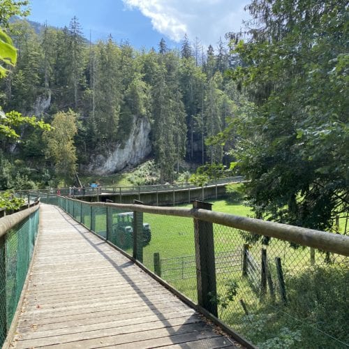 Passerelle de Juraparc