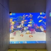Jeu de tir sur poissons avec écran interactif à Kids Fun Park Etoy