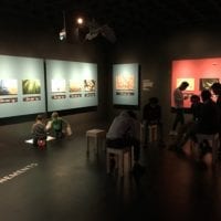 Exposition temporaire Wildlife Photographer au Muséum d'histoire naturelle de Neuchâtel