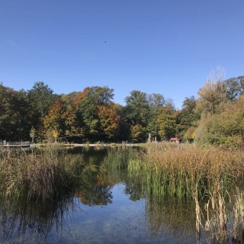 Lac de Sauvabelin à Lausanne en Automne