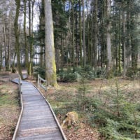 Passerelle à travers la forêt du sentier handicap et nature