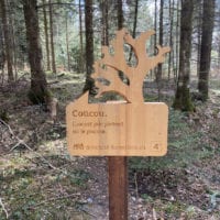Panneau explicatif dans la forêt du sentier handicap et nature