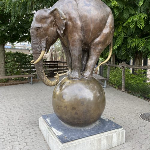 Statue d'éléphant au zoo knie