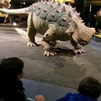 L'ankylosaure animé fascine les enfants