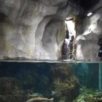 aquarium du rhone