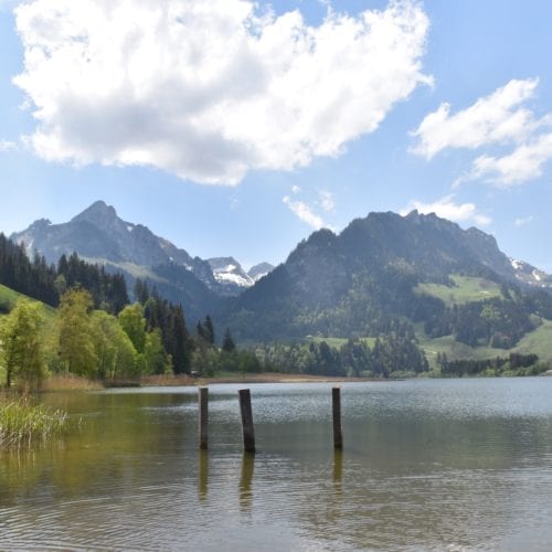 montagne du lac noir