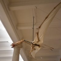 musée de géologie le ptérosaure